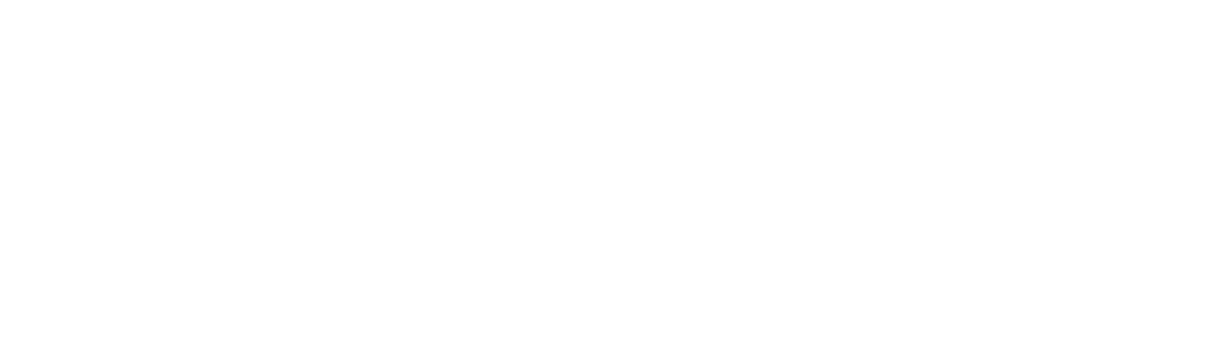 University of Nevada Las Vegas Foundation logo
