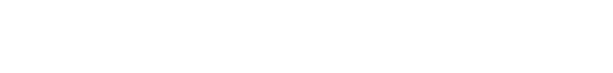 University of Nevada Las Vegas Foundation logo